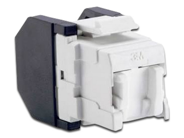 Conector 3M RJ45 Cat6 con cubre polvo abatible, 3 posiciones autoponchable. Color Blanco.
