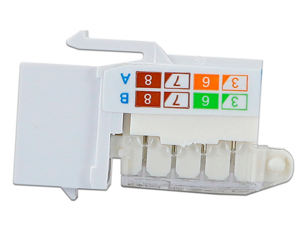 Conector RJ45 Categoria 6, Vertical, Color Blanco. - imagen 3