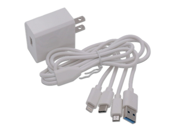 Cargador de Pared EPCOM PL52C, Multi-puertos, 1 x USB-C, 1 x Micro USB, 1 x Lightning, 5V, Color Blanco. - imagen 2
