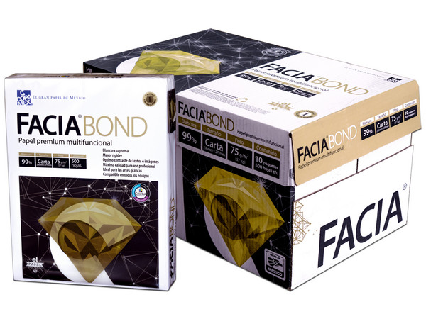 Papel Cortado Facia tamaño Carta, 75Gr, Blancura 99%, Caja con 5000 Hojas.