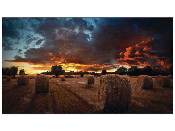 Monitor Profesional LED Samsung VM55BU de 55" para Video Wall, Resolución 1920 x 1080 (Full HD 1080p), VESA 600 x 400.