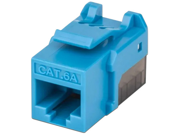 Jack Keystone Intellinet Cat 6. Color Azul con Negro.