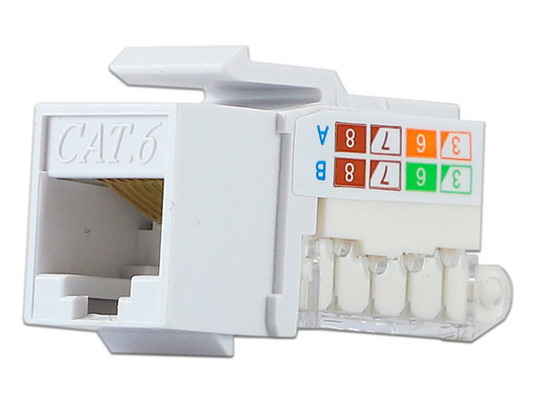 Conector RJ45 Categoria 6, Vertical, Color Blanco.