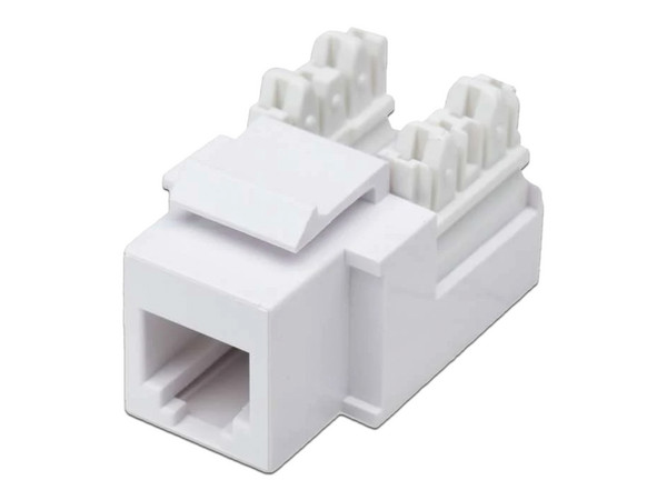 Jack de impacto Intelinet para telefonía. Color blanco. - imagen 2